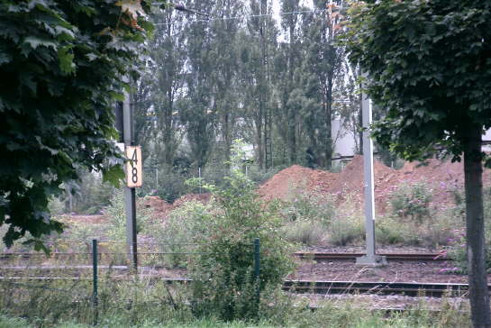 Ein Blick aus dem Fenster